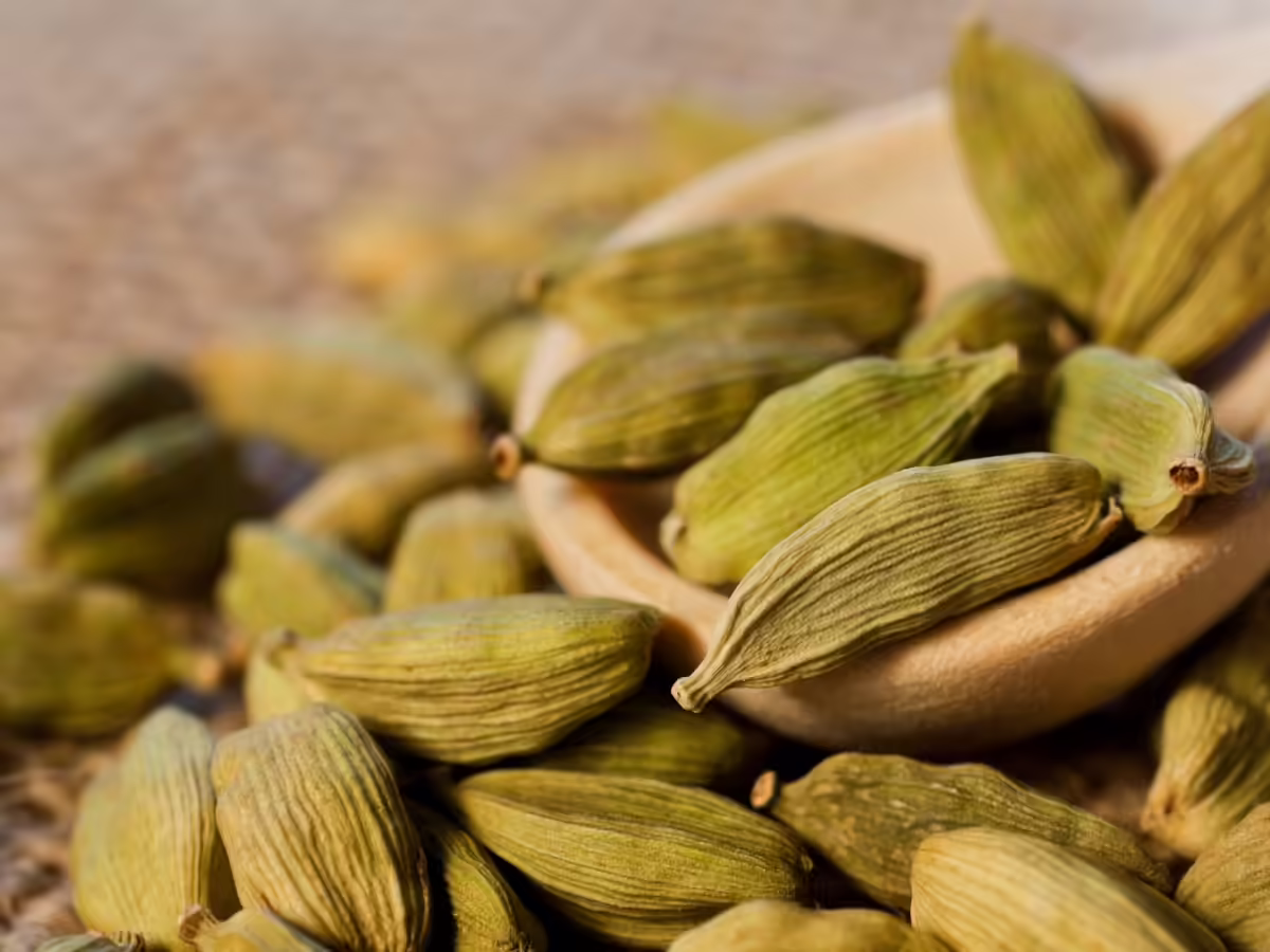 cardamom, cardamom suppliers, cardamom producers, best cardamom, high quality cardamom, Elaichi, cardamom exporters, cardamom export